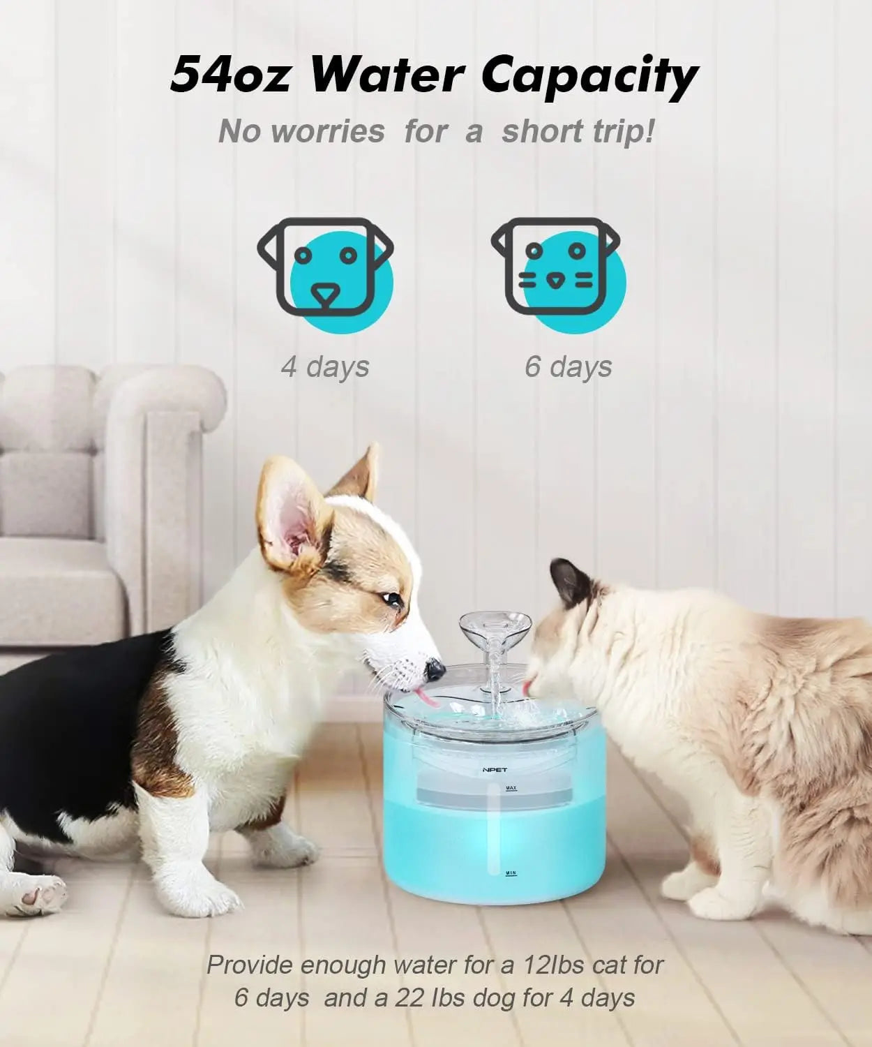 NPET WF100 Cat Water Fountain