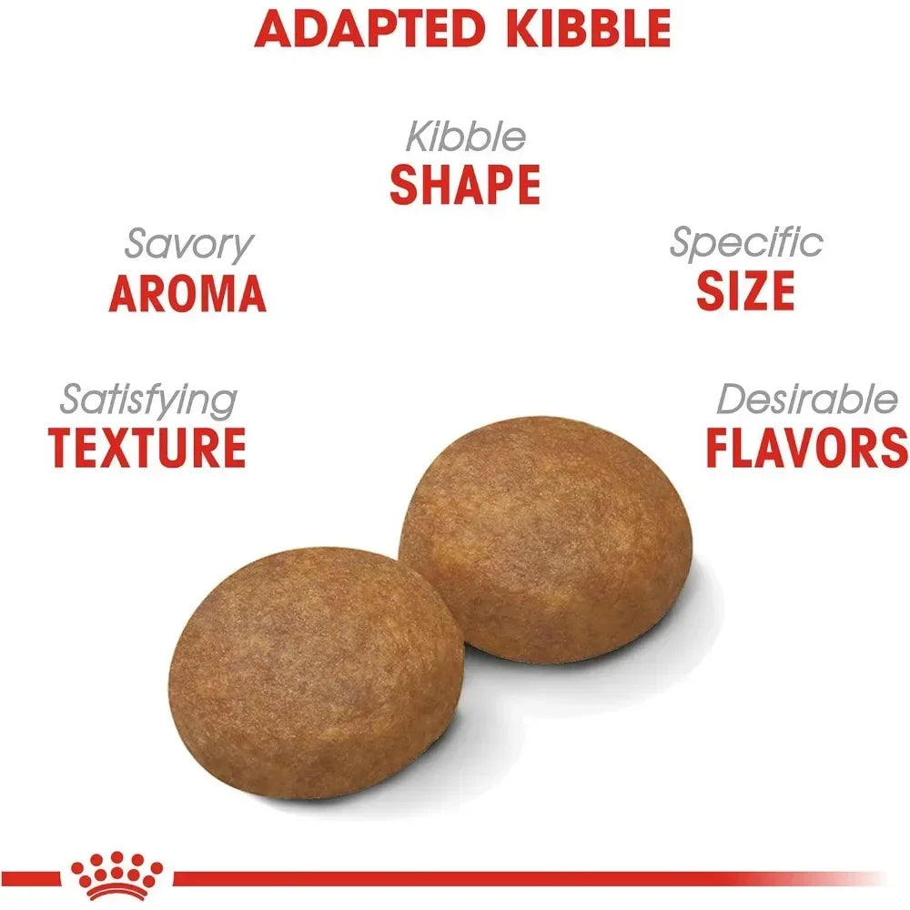 Large Adult 5+ Dry Dog Food for Older Dogs