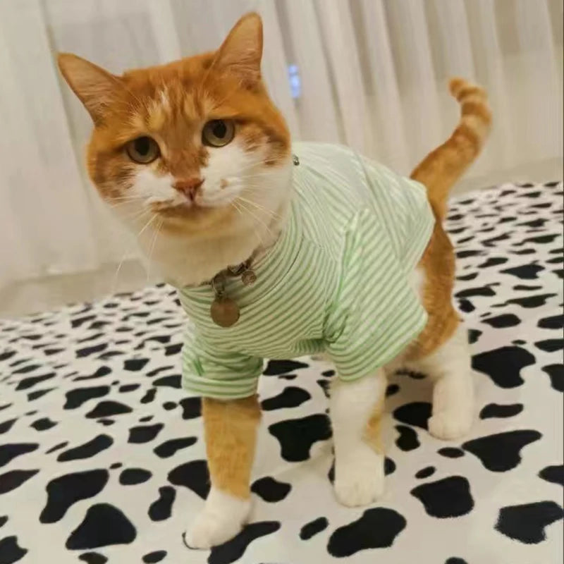 Cute Stripe Pet Cat Vest Shirt