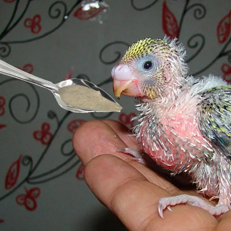 10pcs Portable baby bird feeding water spoon