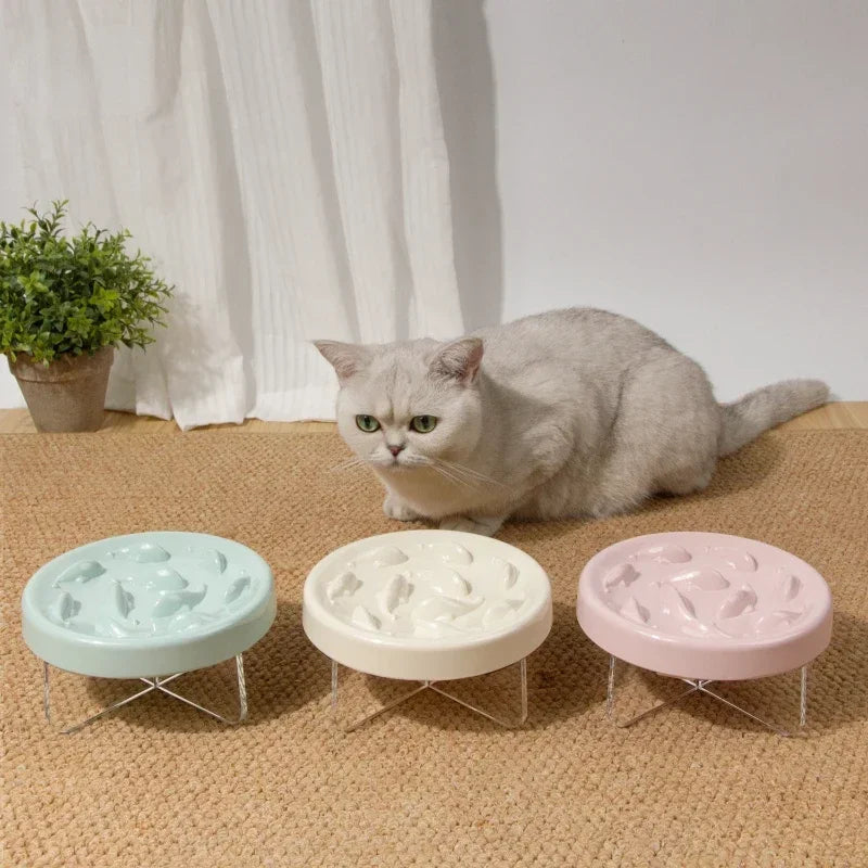 Pet Cat Bowl