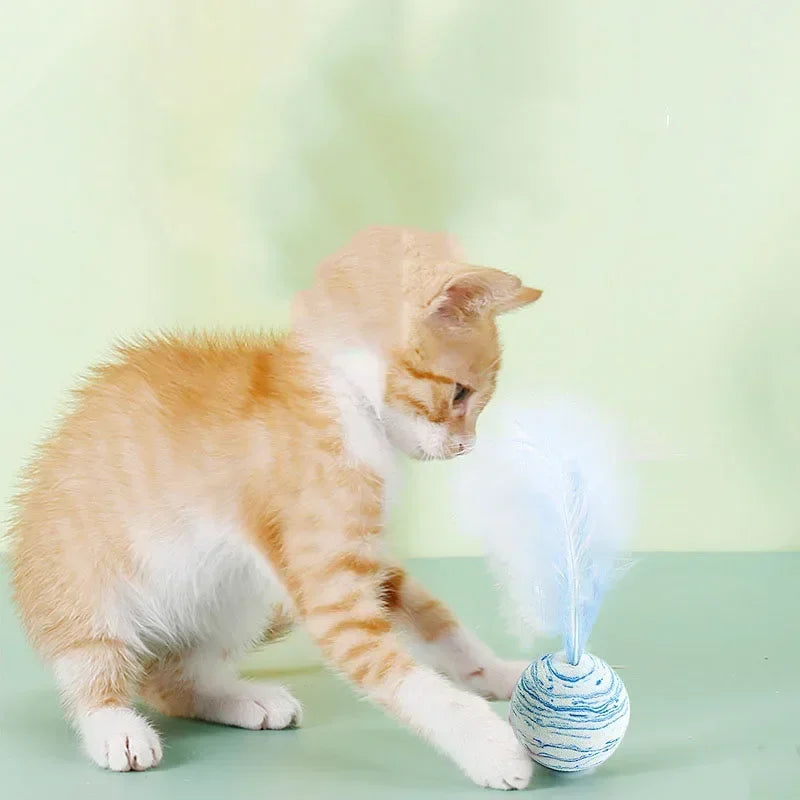 Ball Feather Funny Cat Toy