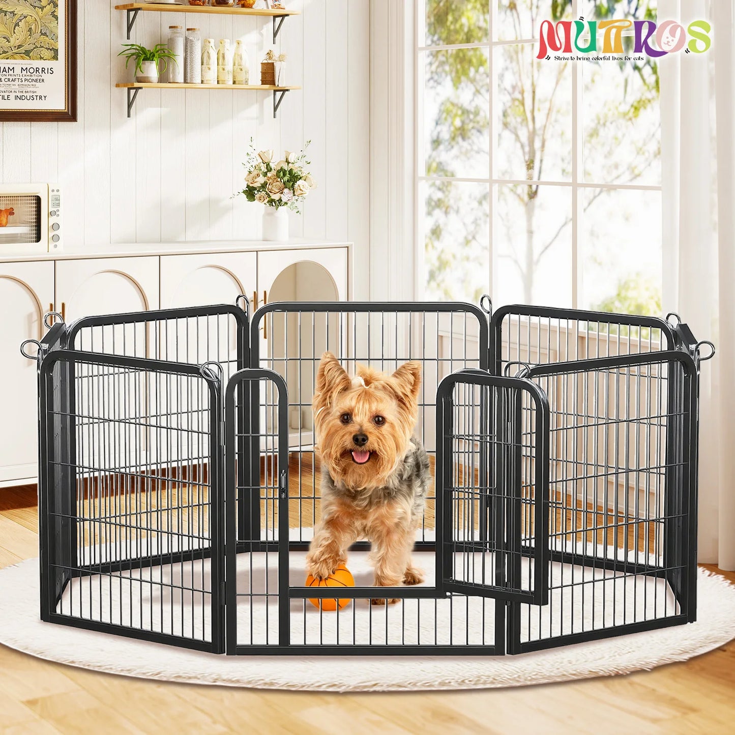 Dog Playpen with Door