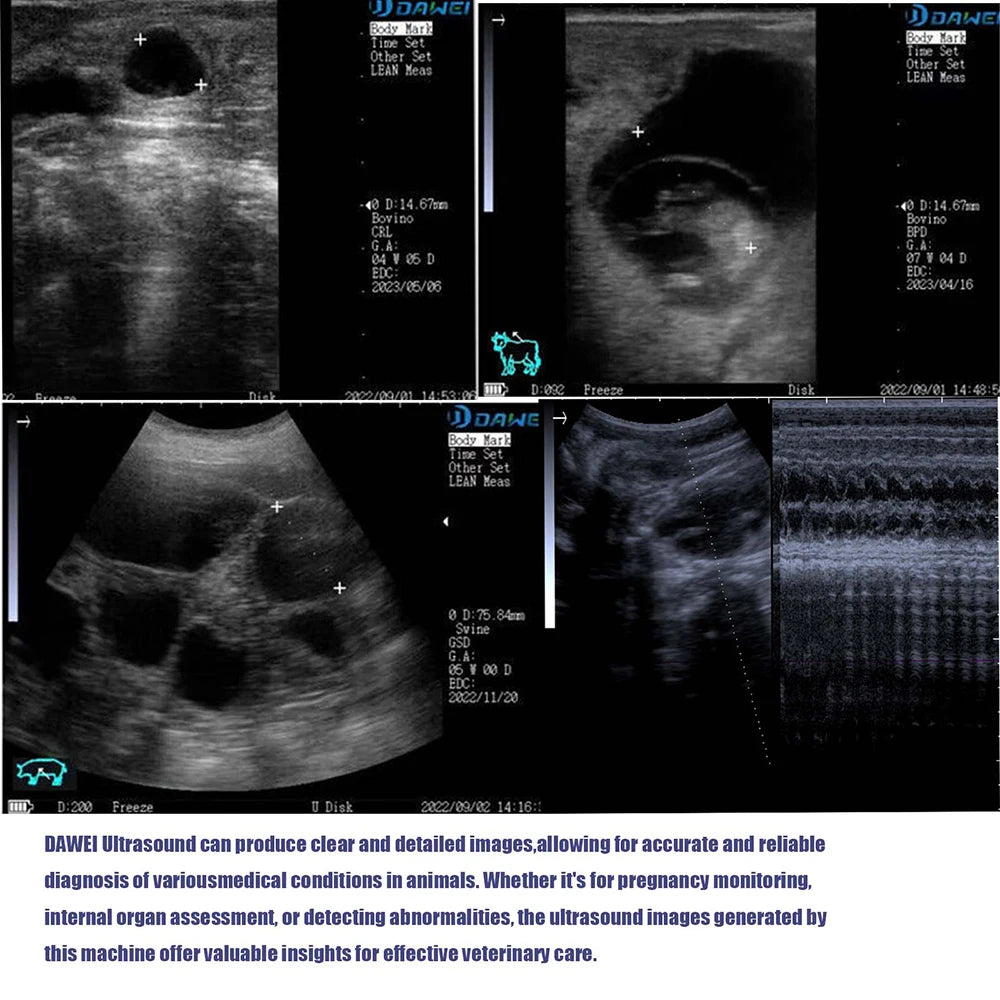 Portable Veterinary Ultrasound Scanner