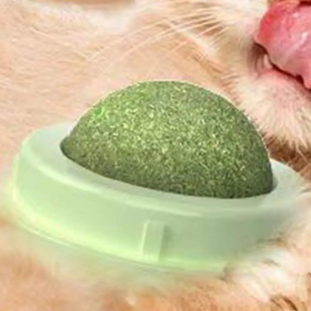 Silvervine Catnip Wall Balls