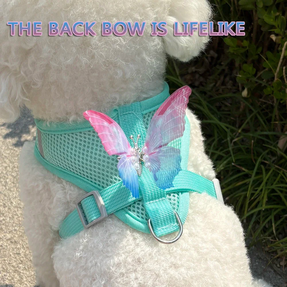 Butterfly Cute Breathable Dog Harness Set