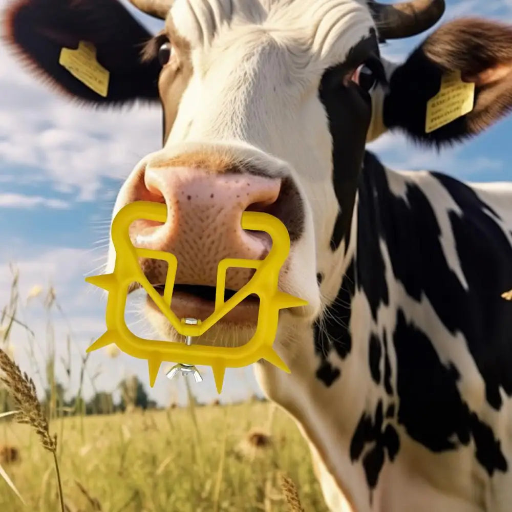 Cow Nose Ring