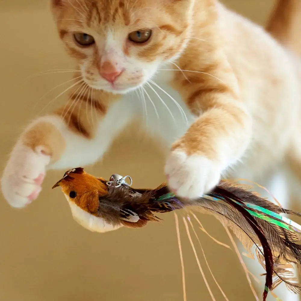 Cat Teaser Wand Attachments