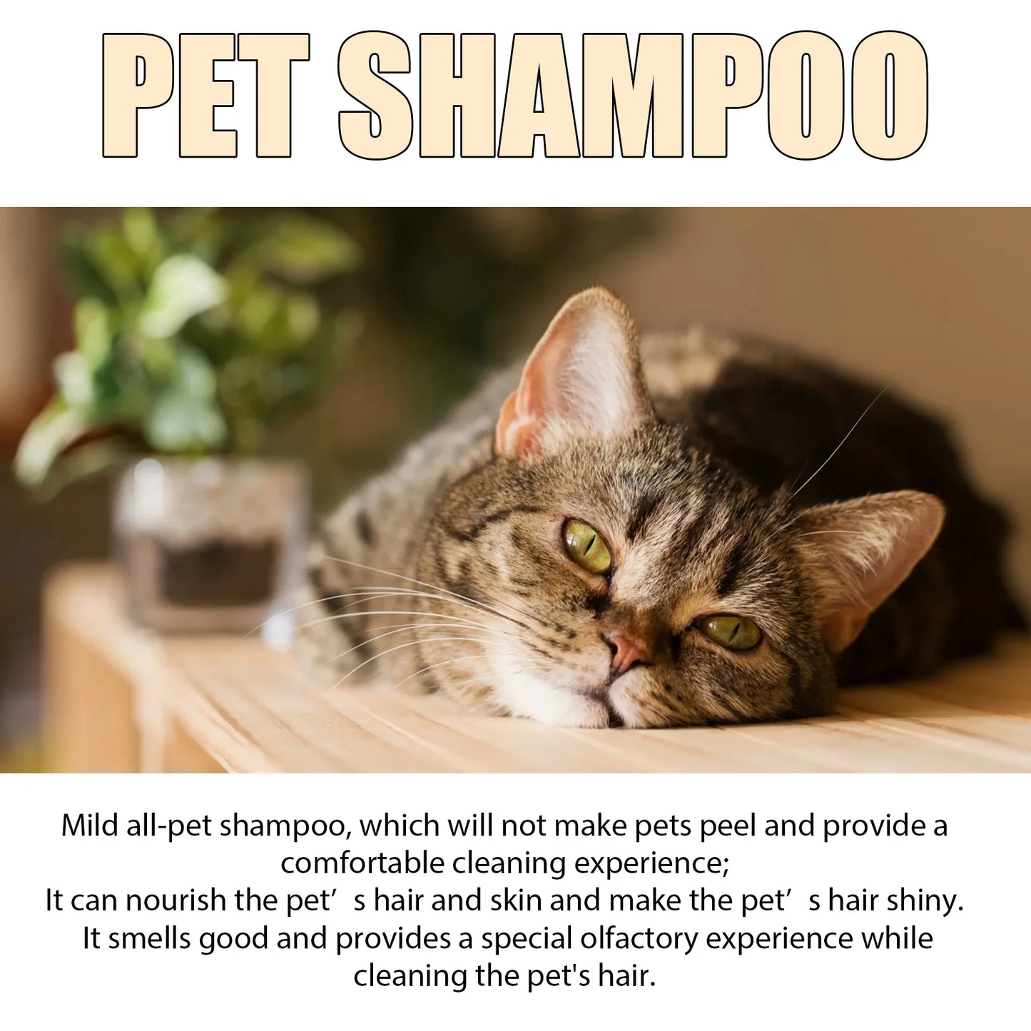 1-4PCS Pet Shampoo