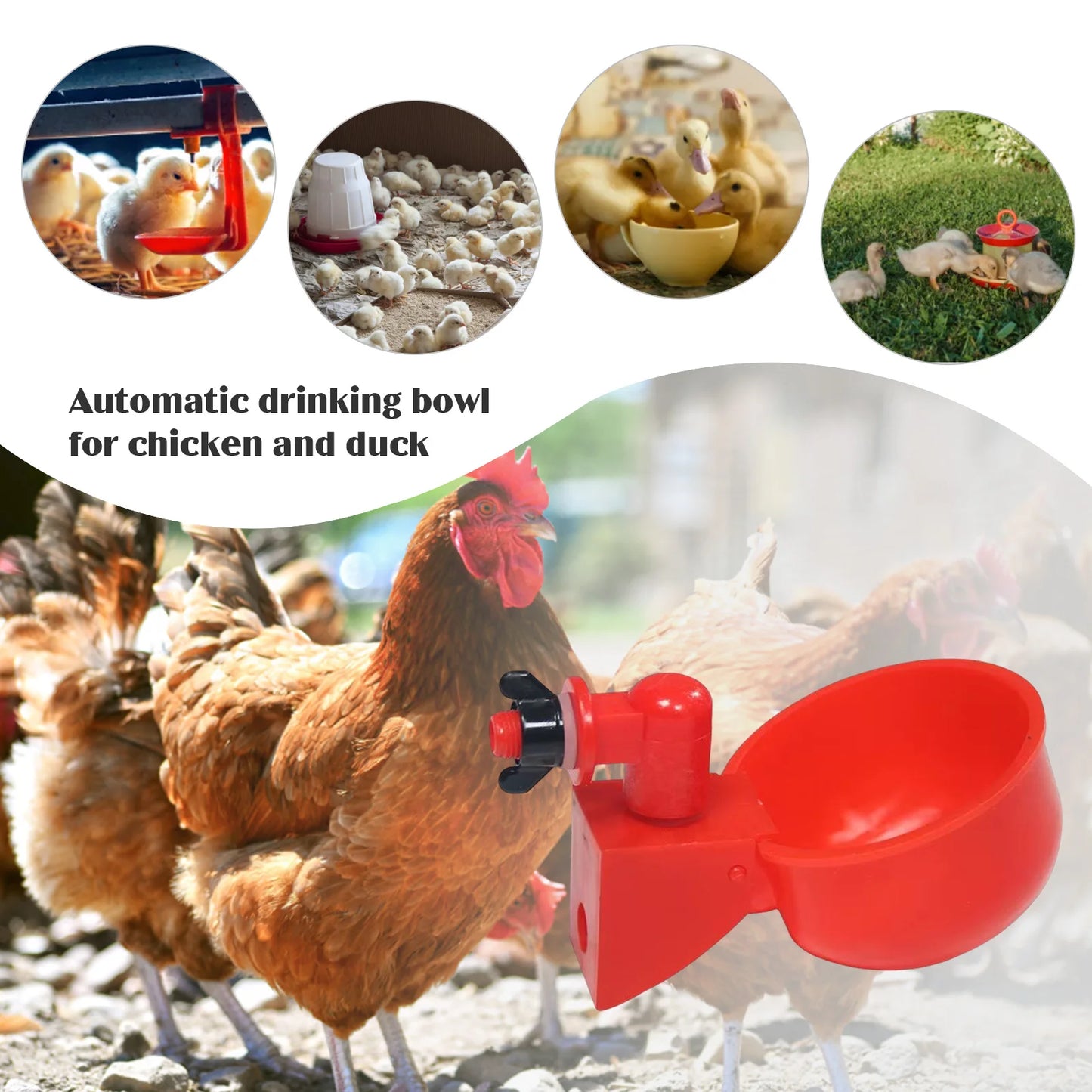6pcs Chicken Water Cup Hanging