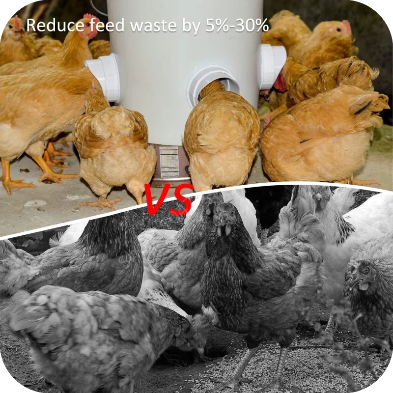 Poultry Automatic Gravity Feeder