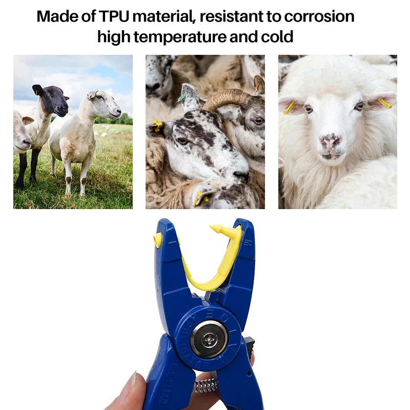 Livestock Sheep Goat Ear Tags