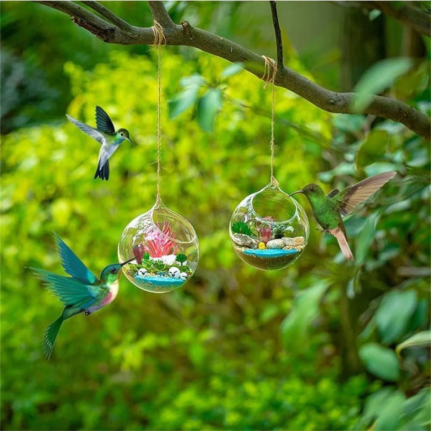 Humming Glass Feeder Outdoors Bird Feeder