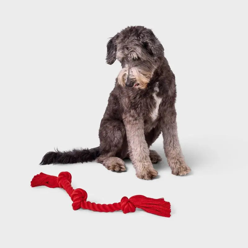 15 Inch Red Rope Dog Toy for Aggressive Chewers