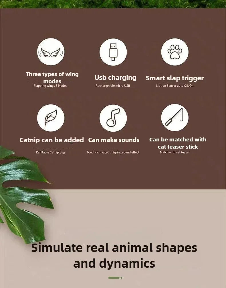 Interactive Cat Toys