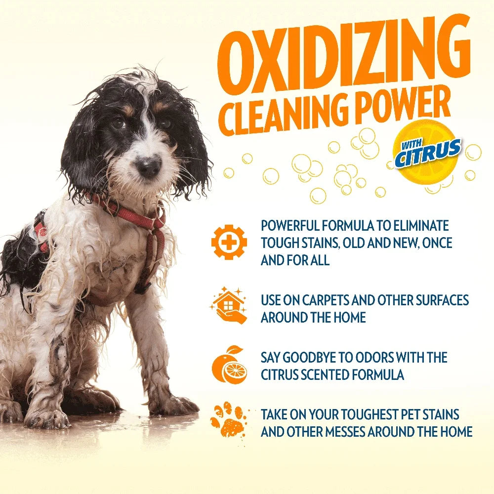 2 Pack Pet Stain Odor Remover