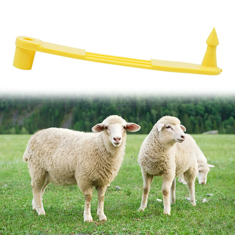 Livestock Sheep Goat Ear Tags