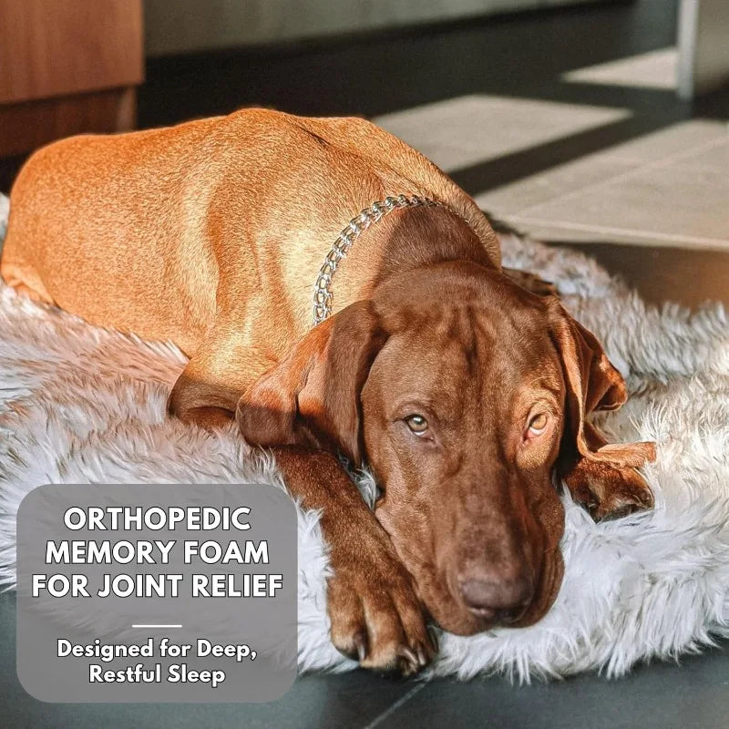 Luxury Faux Fur Orthopedic Dog Bed