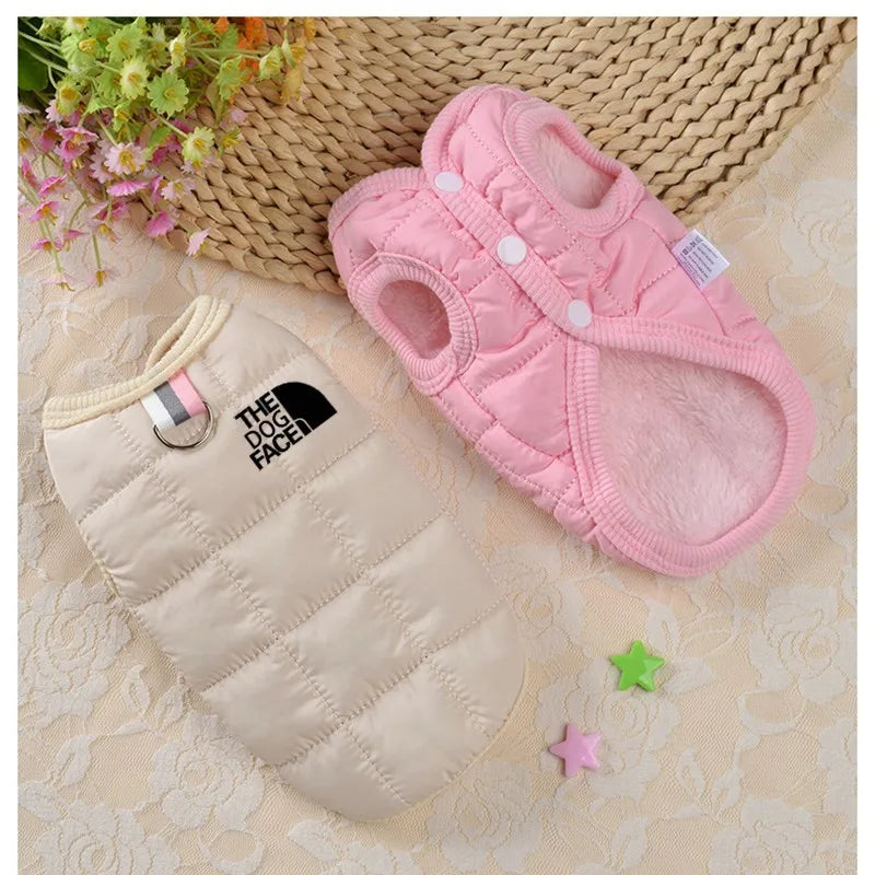 Designer Trendy Dog Clothes