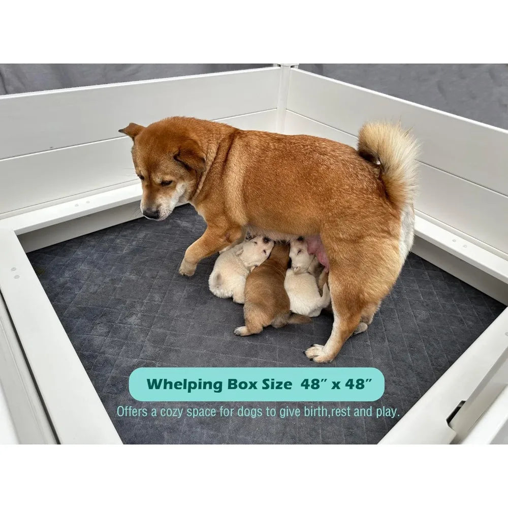 Whelping Box for Dogs