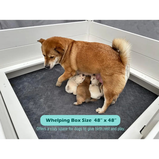 Whelping Box for Dogs