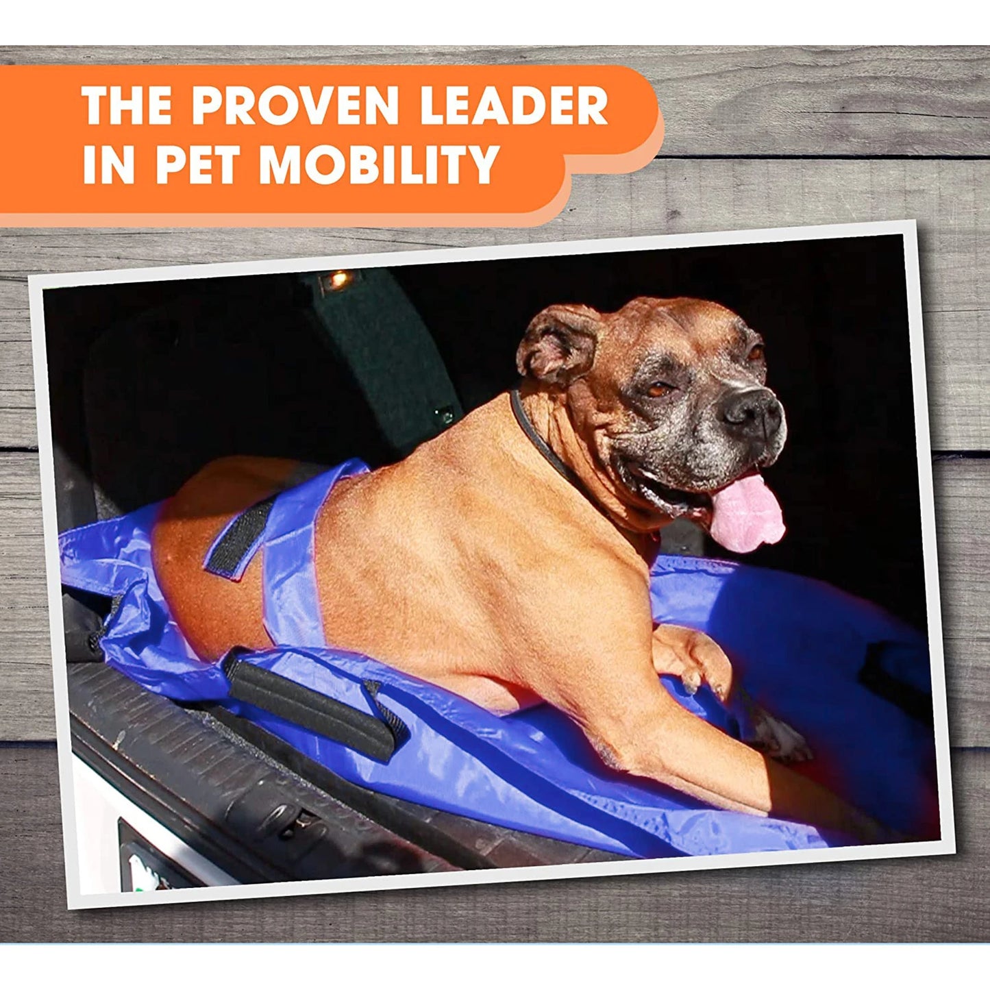 Pet Transport Stretcher, Foldable