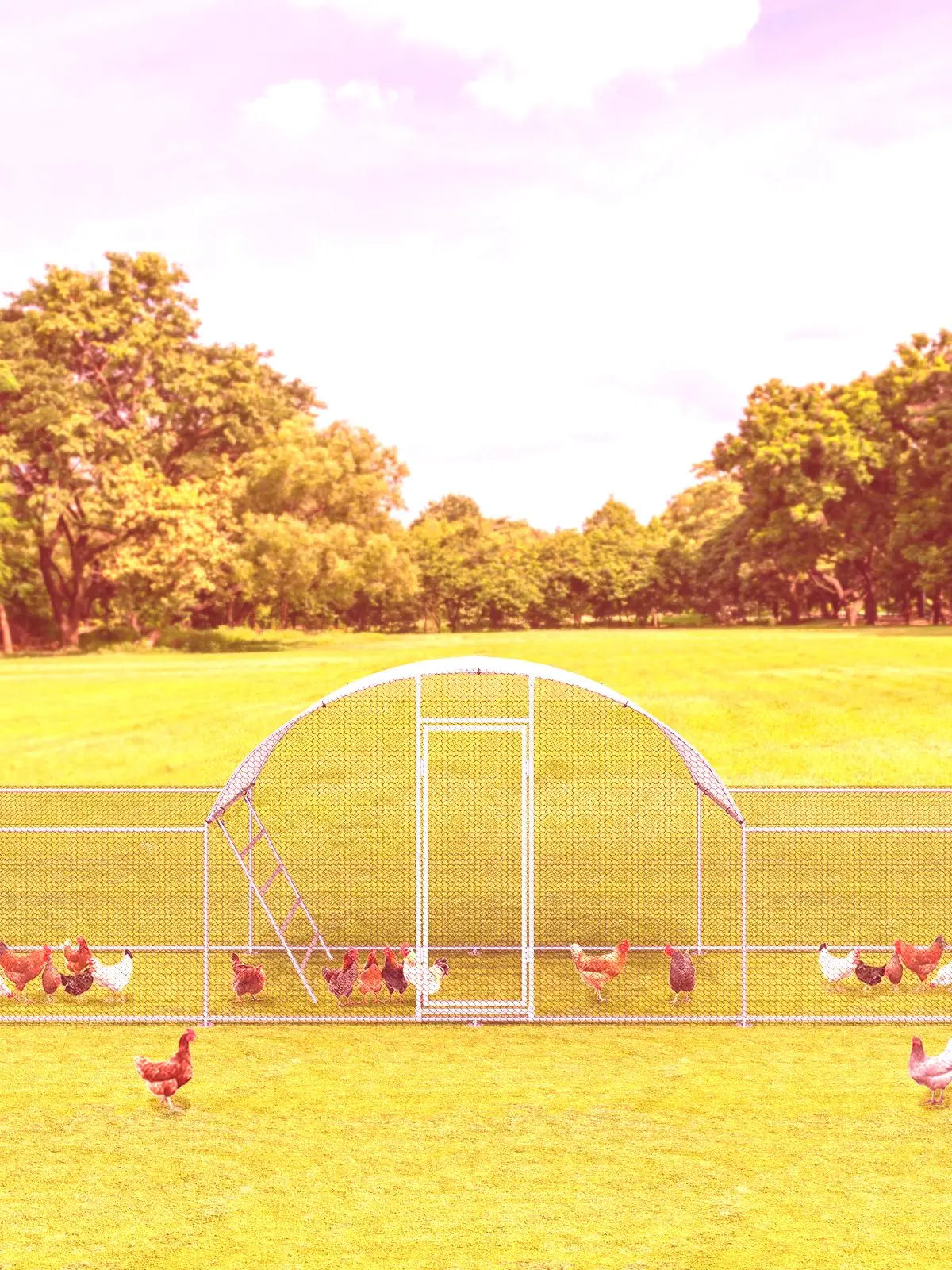 23ft Metal Chicken Coop