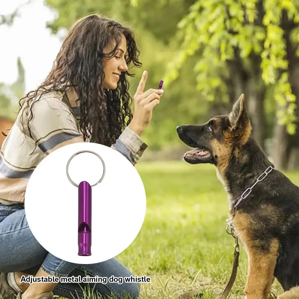 Ultrasonic Dog Whistle