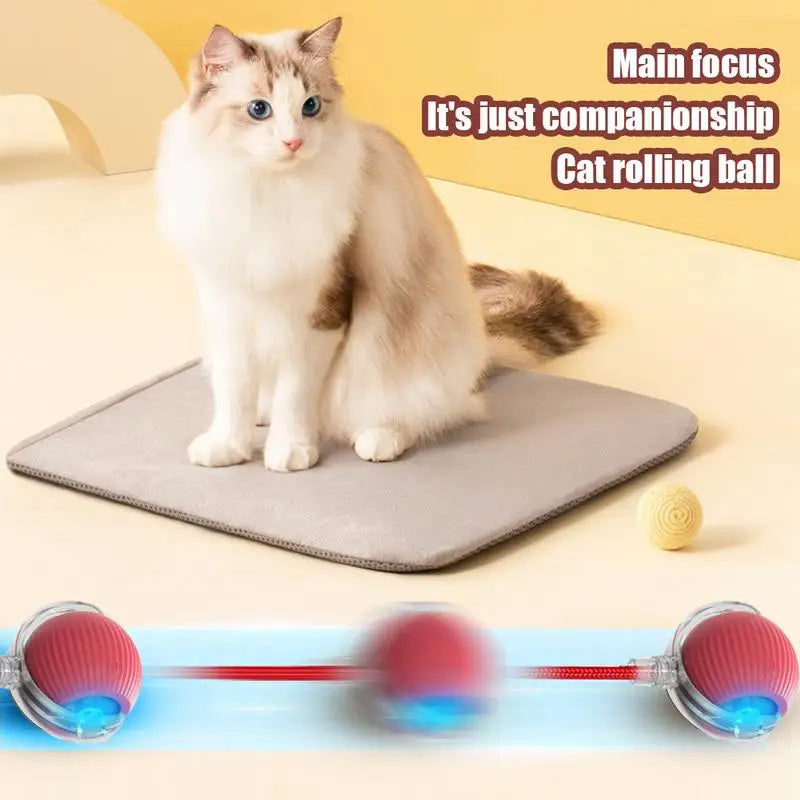Smart Pet Interactive Automatic Rolling Ball Toy