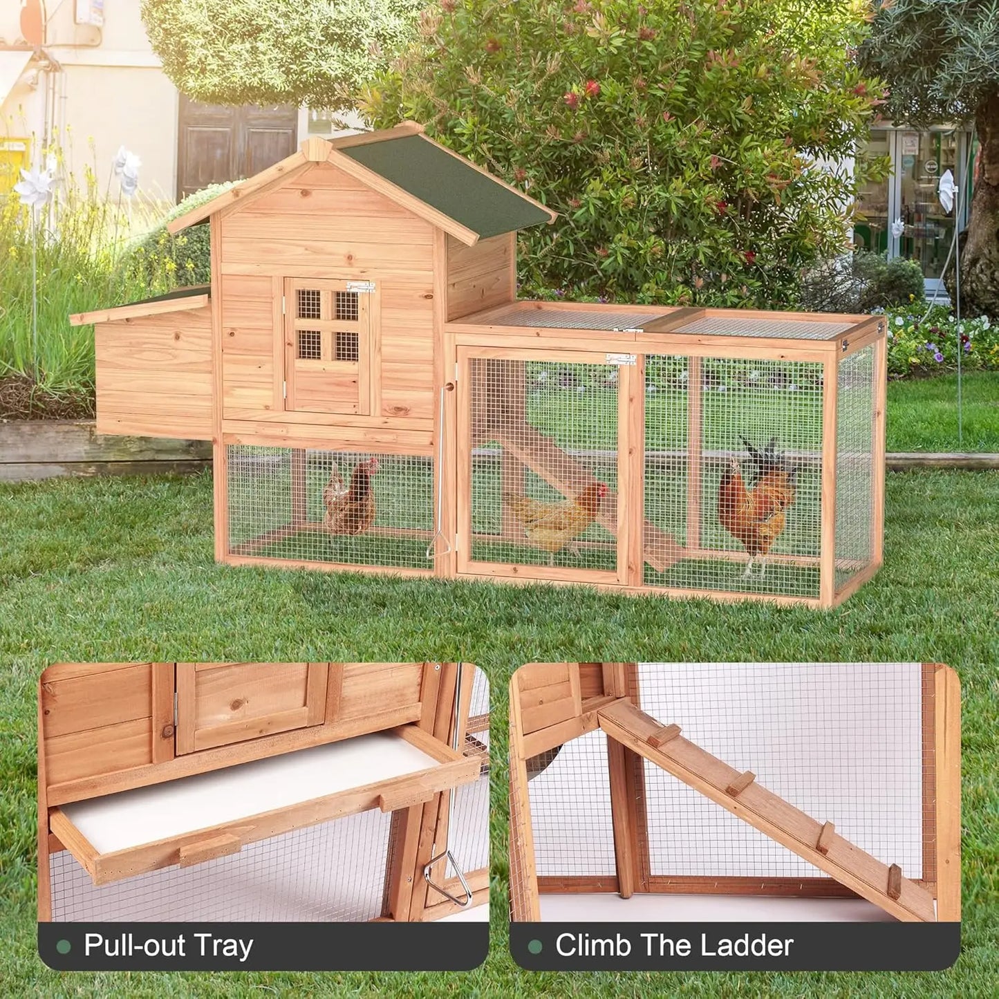 Morngardo Chicken Coop for 2-4 Chickens