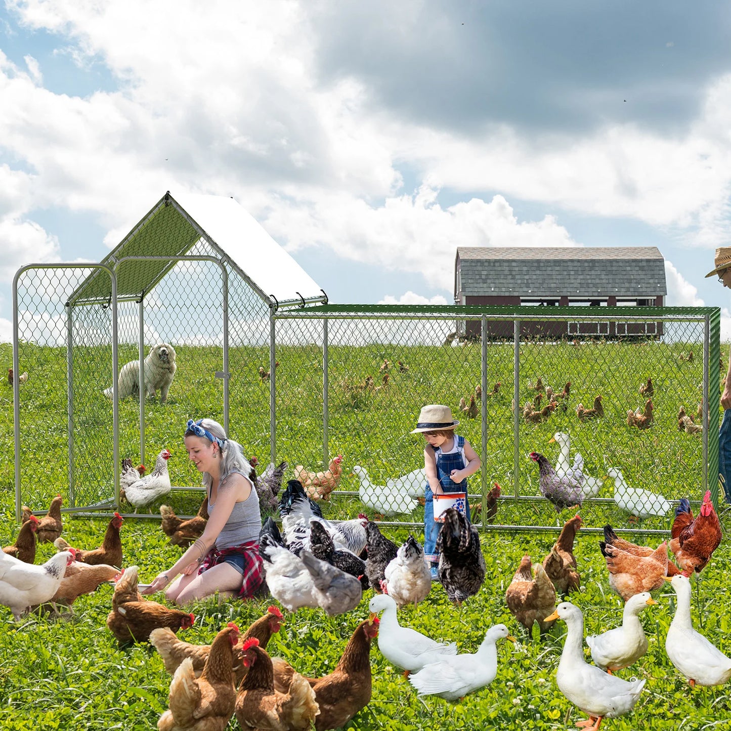 Flat Style Poultry Cage