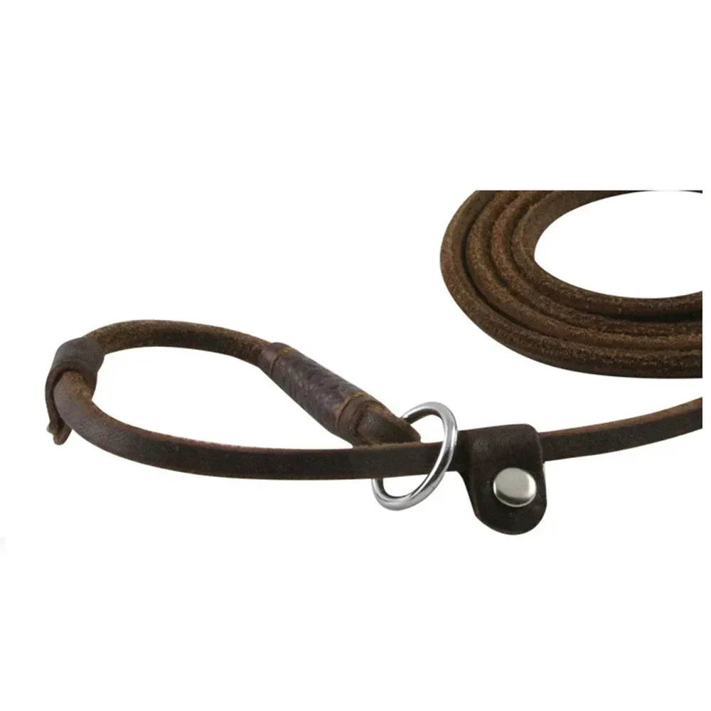 Genuine Leather Slip Dog Leash