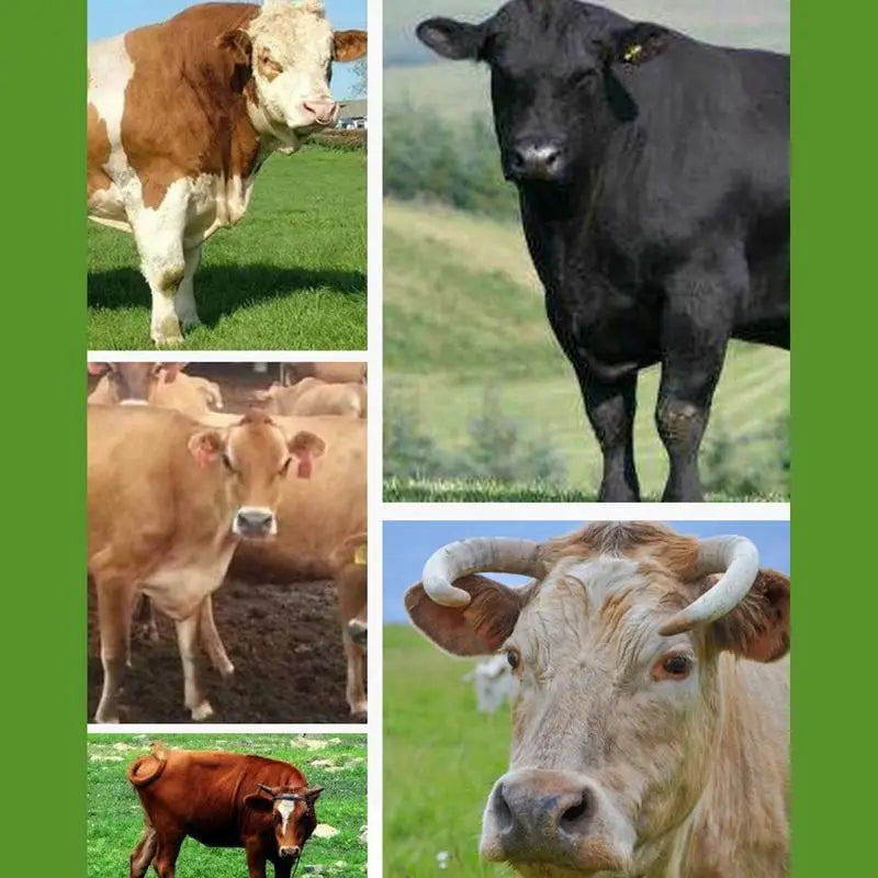 Calf Weaner Nose Rings