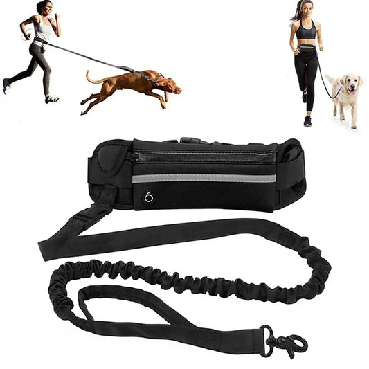 Hands Free Dog Leash for Running/Walking