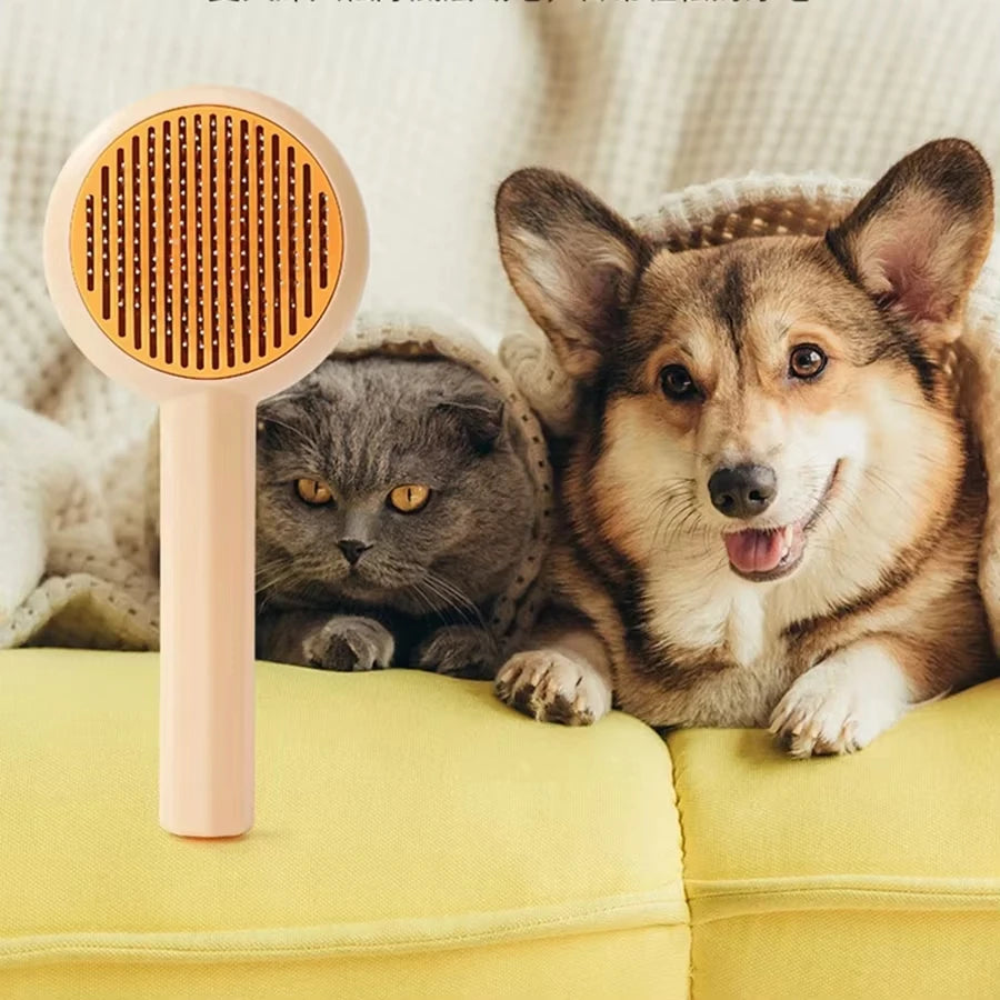 Cat Brush