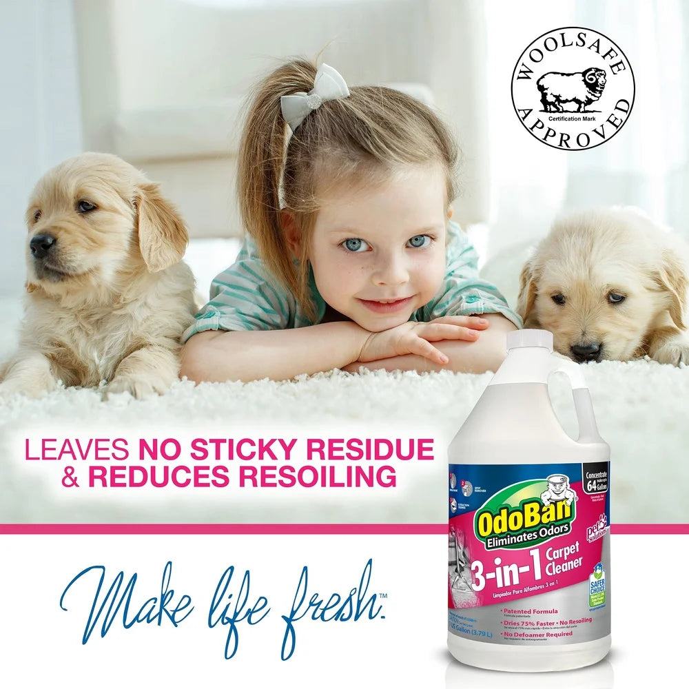 Pet Oxy Stain Remover Spray