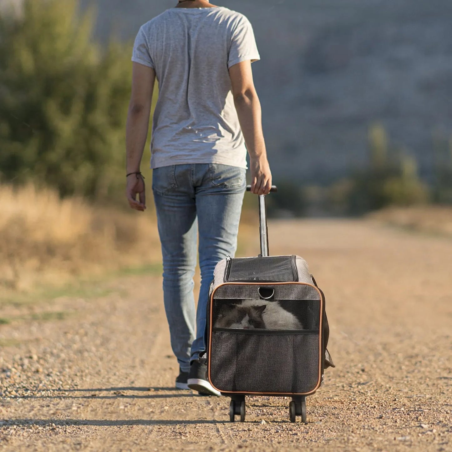 Cat Carrier with Wheels