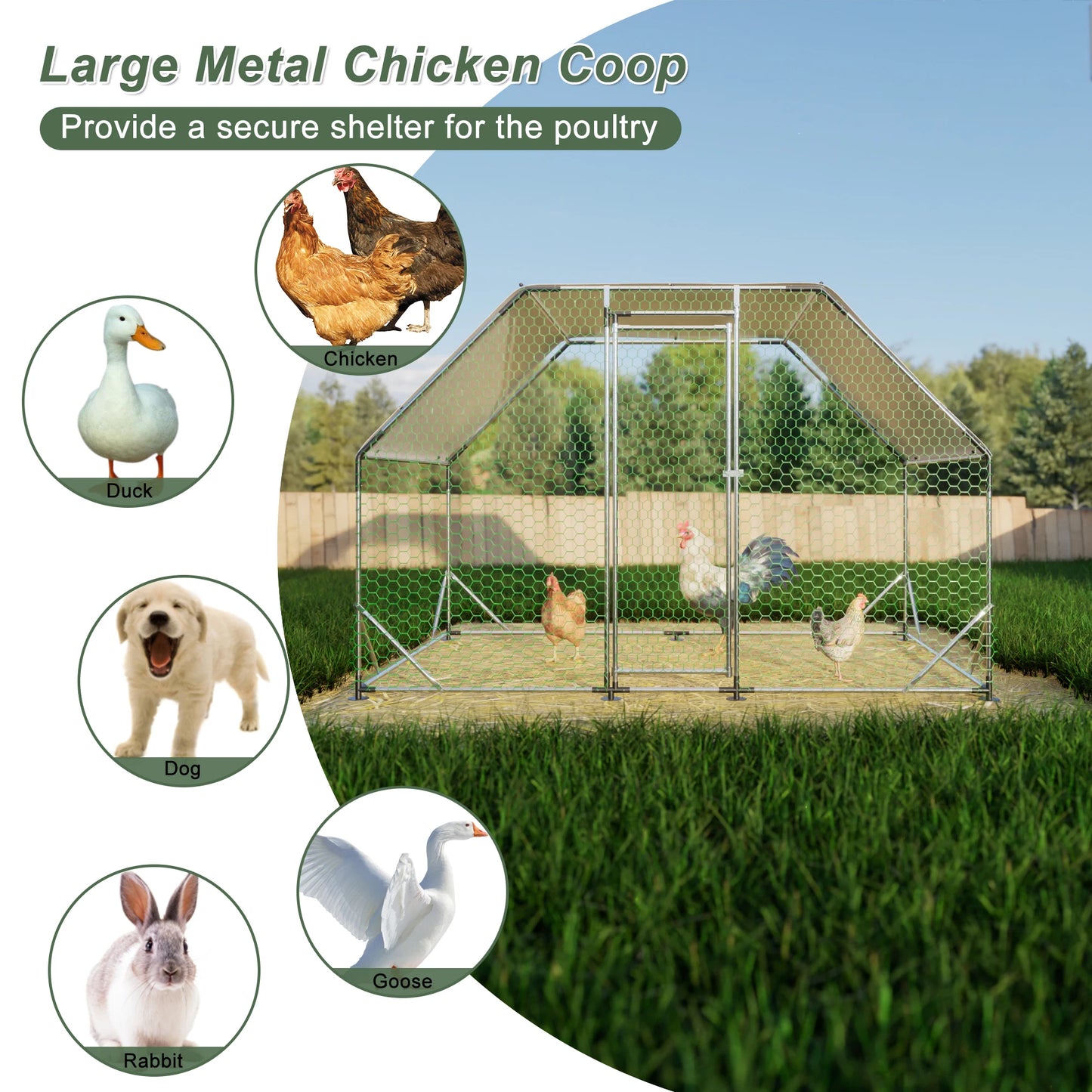 LZBEITEM 9.94 ft. x 6.46 ft. x 6.36 ft. Metal Large Chicken Coop