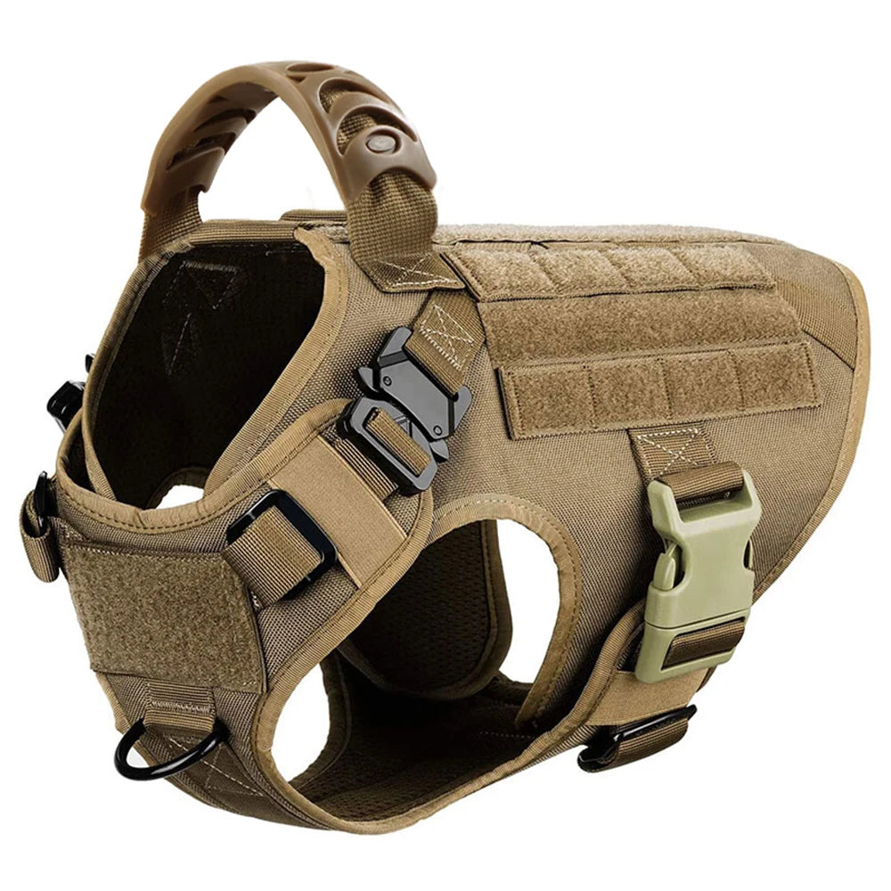 Large Dog Harness and Leash Set