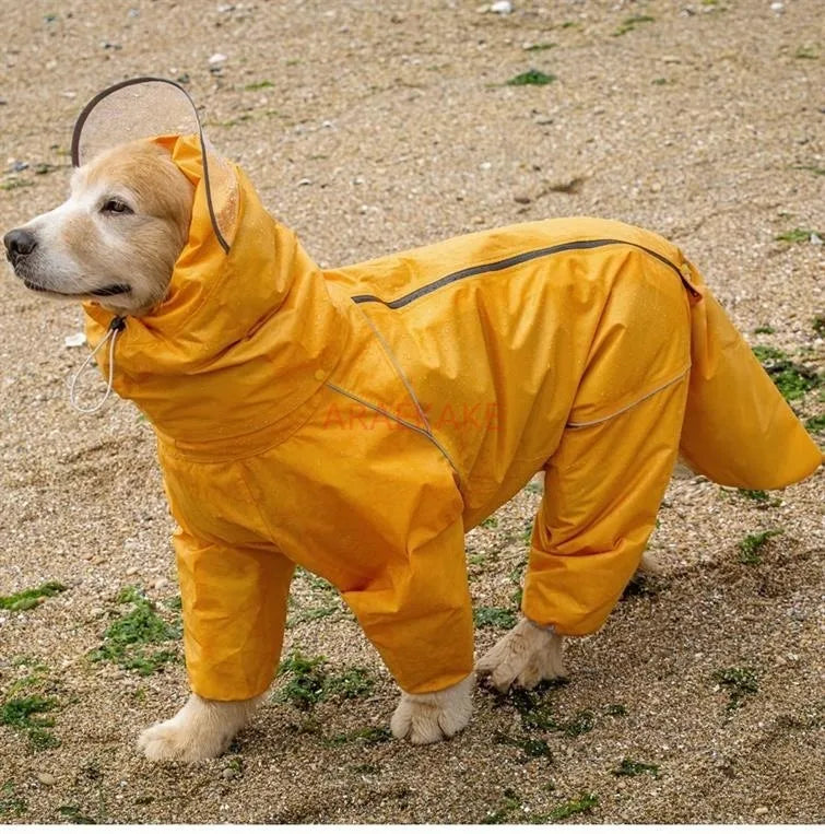 All inclusive raincoat