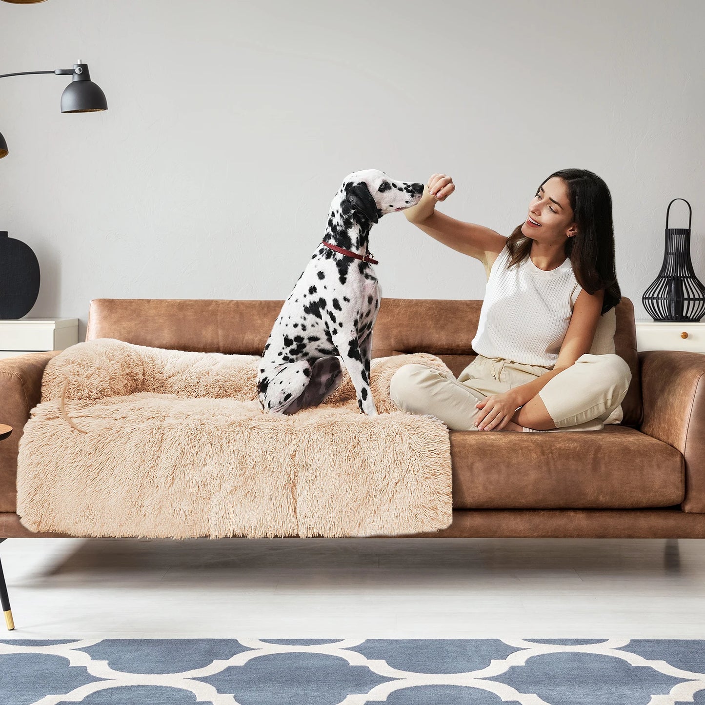 Pet Dog Bed Couch Sofa for Large Dogs