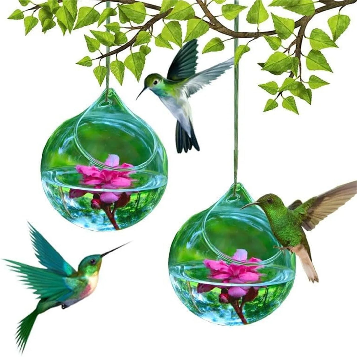 Humming Glass Feeder Outdoors Bird Feeder
