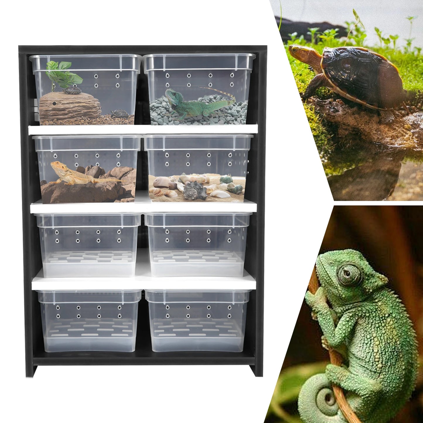 Reptile Breeding Cabinet with 8 Clear Boxes