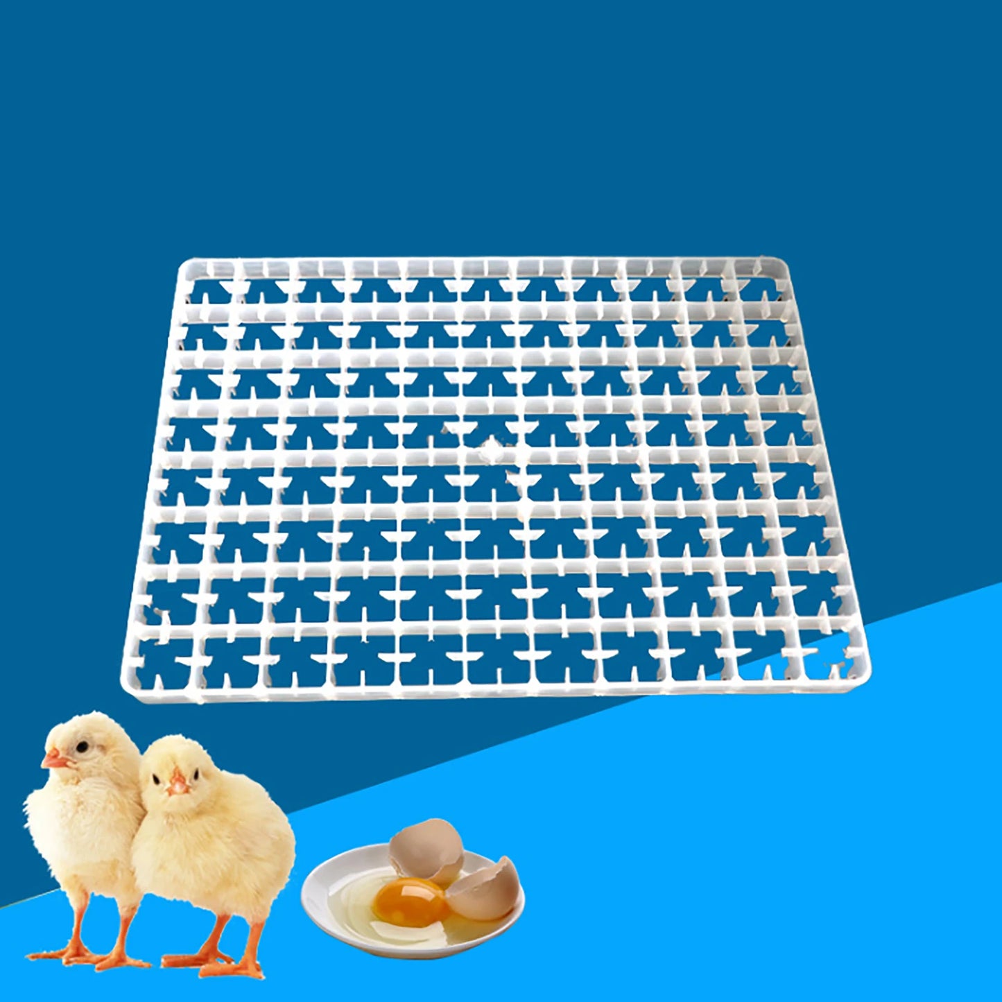 LOYALHEARTDY 5pcs 440 Quail Egg Turning Tray