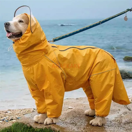 All inclusive raincoat