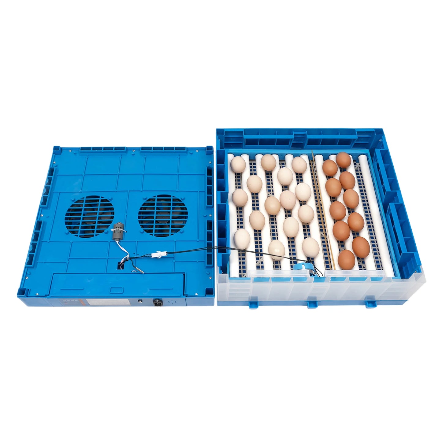 80W Thermostatic Egg Incubator