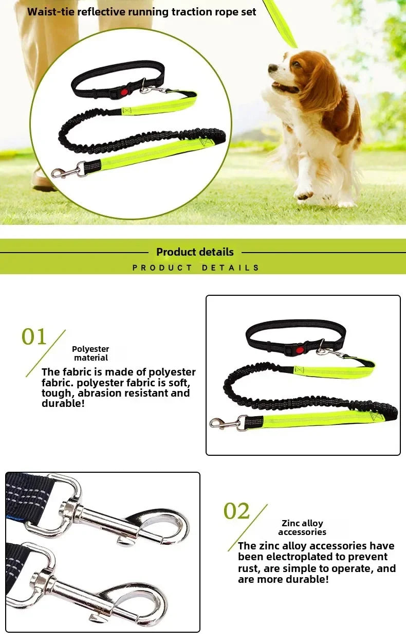 Hand Free Dog Leash for Pet Walking