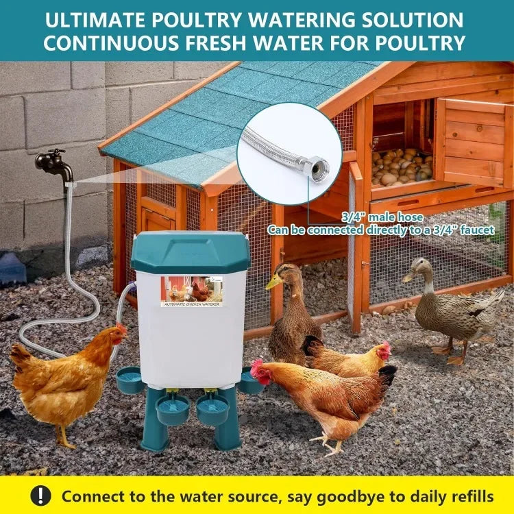 Float-Controlled Automatic Chicken Waterer for Continuous Fresh Water