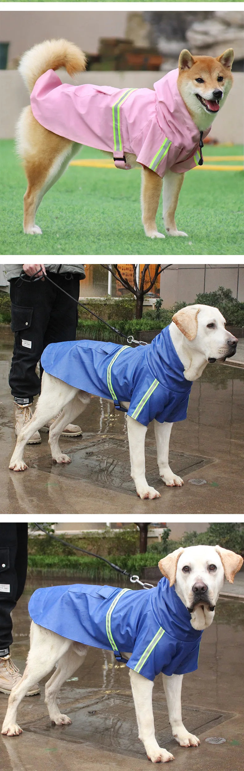 Big Dog raincoat
