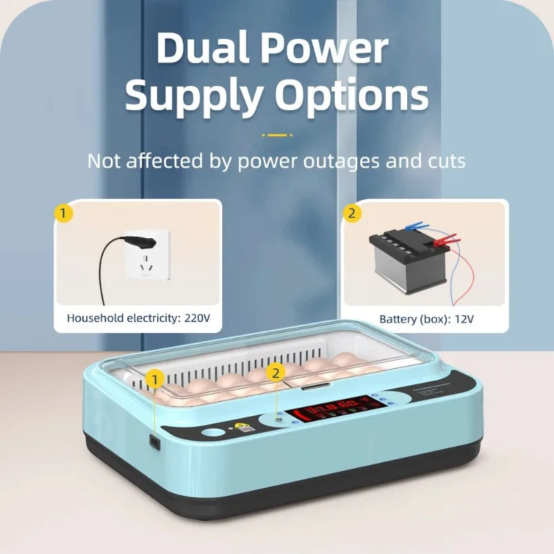 64/6 Chicken Duck Quail Egg Incubator